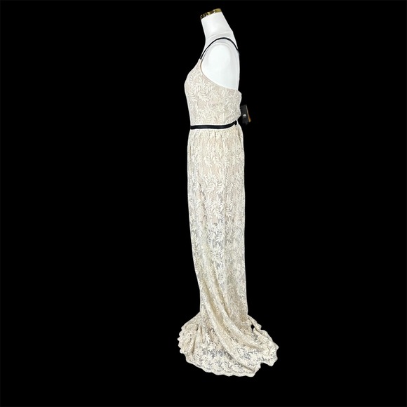 NWT ABS Allen Schwartz $659.00 boho metallic thread lace overlay full length - Picture 7 of 14